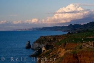 photo of Coastal Farms Taranaki