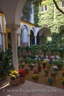 photo of Courtyard Garden Potted Flowers Sevilla Andalucia