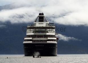 photo of Cruise Ship