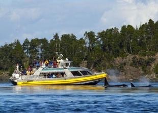 photo of wildlife viewing tour