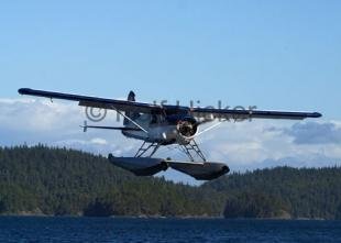 photo of Beaver Airplane Photo