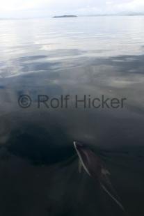 photo of CRW 0533