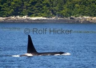 photo of CRW 0581