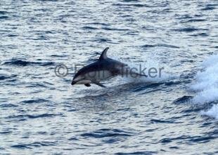photo of CRW 0743