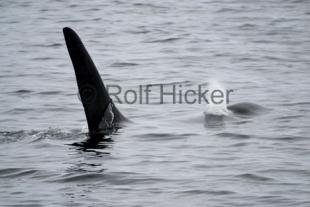 photo of CRW 0821