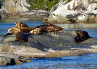 photo of CRW 1377