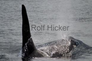 photo of CRW 3284