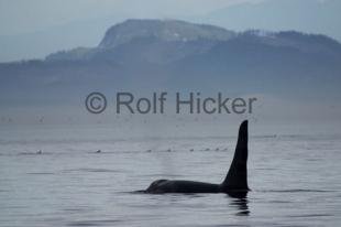 photo of CRW 3306