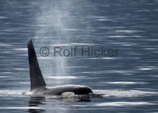 photo of CRW 3577