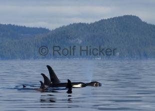 photo of CRW 3669
