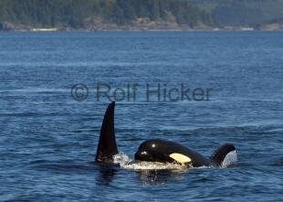 photo of CRW 4284
