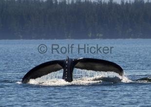 photo of CRW 4324