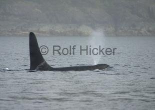 photo of CRW 4339