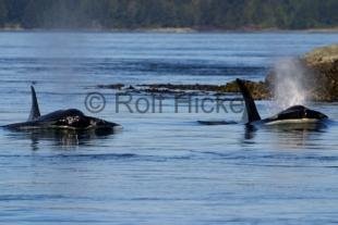 photo of CRW 4990