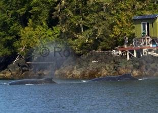 photo of CRW 5708
