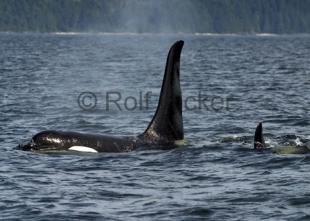 photo of CRW 5722
