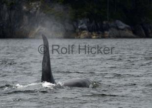 photo of CRW 5726