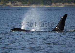 photo of CRW 5791