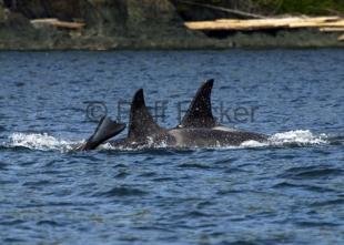 photo of CRW 5876