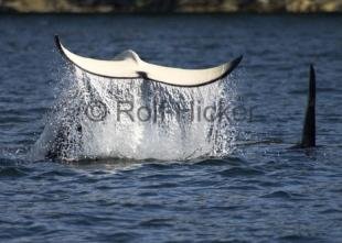 photo of CRW 6069