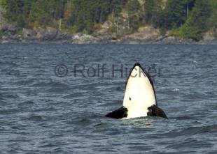 photo of CRW 6198