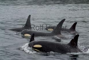 photo of CRW 6362