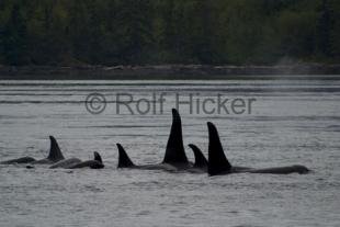 photo of CRW 6373