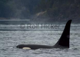 photo of CRW 6451