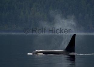 photo of CRW 6574