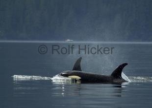 photo of CRW 6598