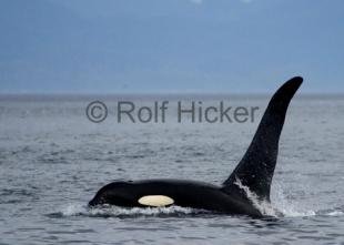 photo of CRW 6711