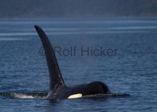 photo of CRW 6824
