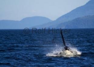 photo of CRW 6972