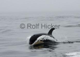 photo of CRW 7049