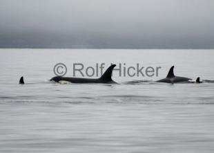 photo of CRW 7066