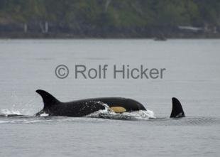 photo of CRW 7084
