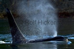 photo of CRW 7281