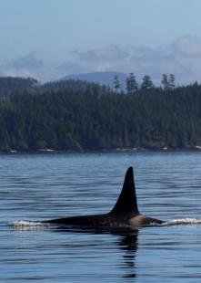 photo of CRW 7484