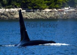 photo of CRW 7615
