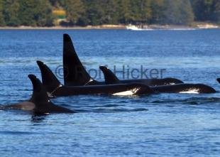 photo of CRW 7683