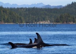 photo of CRW 7687