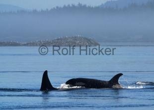 photo of CRW 7785
