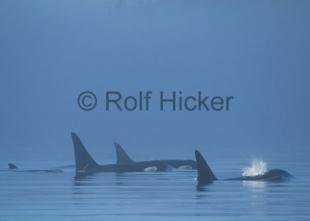 photo of CRW 7813
