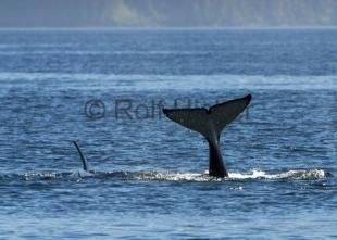 photo of CRW 7912