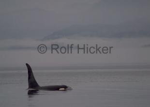 photo of CRW 8581