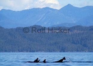 photo of CRW 9225