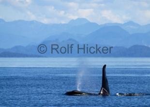 photo of CRW 9227