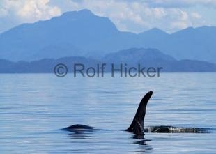 photo of CRW 9259