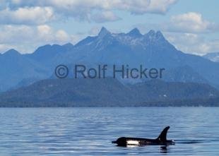 photo of CRW 9266