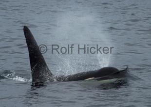 photo of CRW 9491